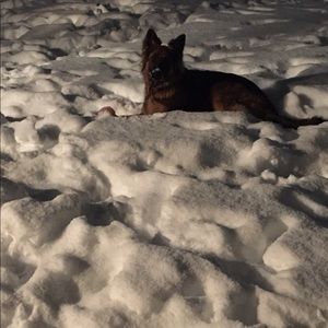 Meet your Posher, Wendy